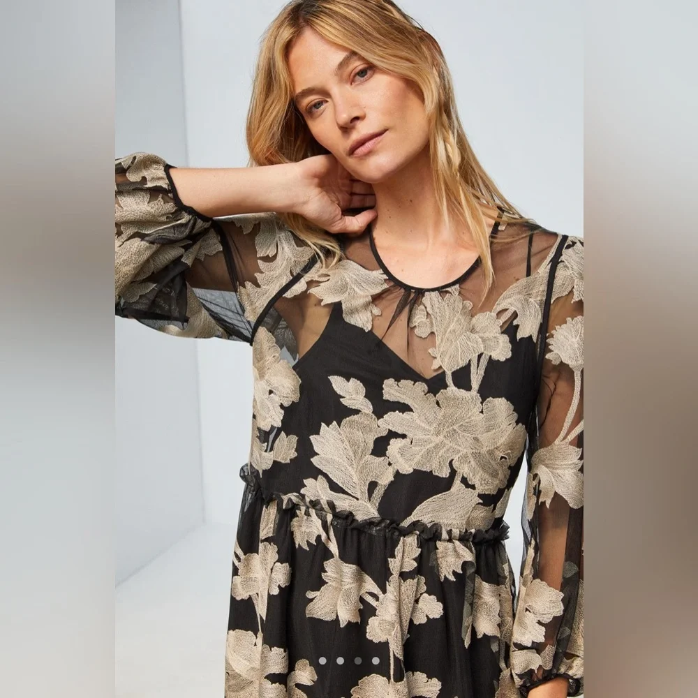 EUC Anthropologie Maeve Trixie Embroidered Mini Dress // Size XL Petite - Picture 4 of 4